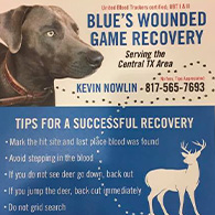 Blue's Wounded Game Recovery